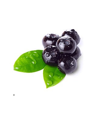 Bilberry Benefits