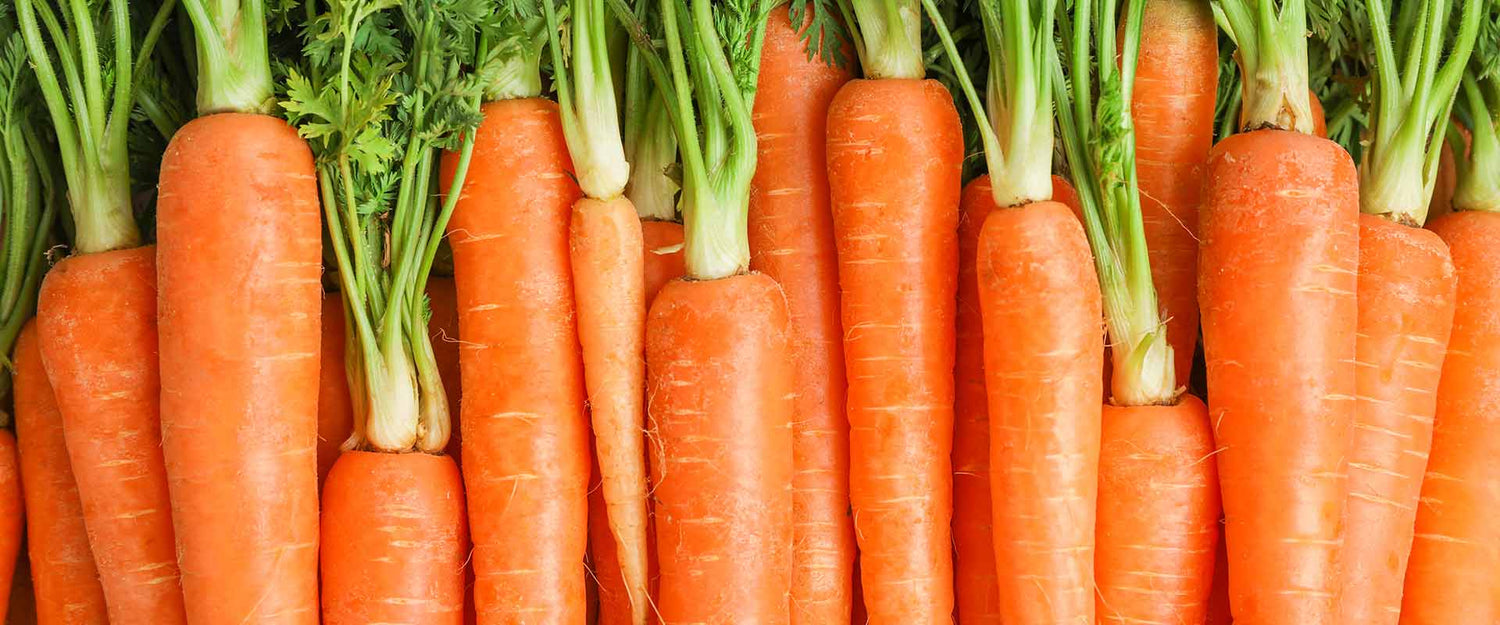 beta carotene - Carrots 