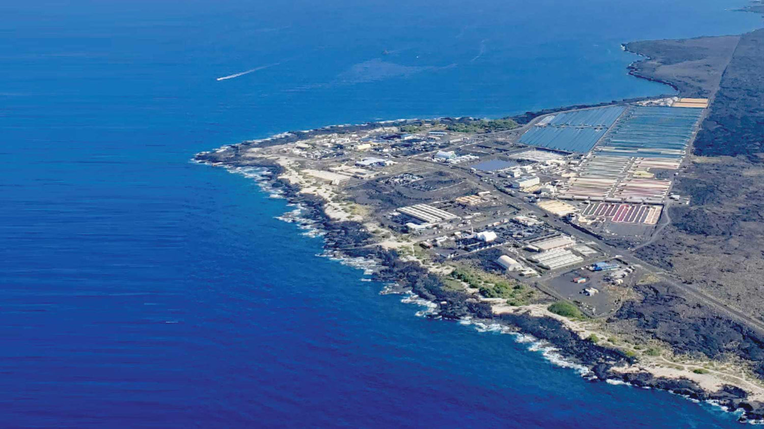 Nutrex Hawaii Aerial Farm Image