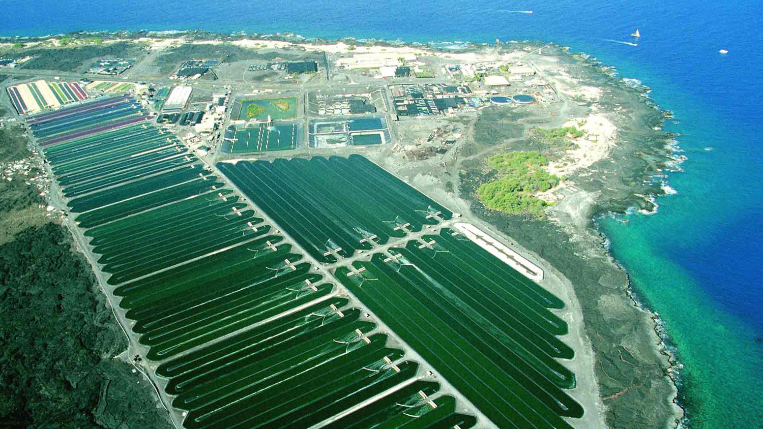 Nutrex Hawaii Farm Aerial View 