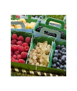 Types of Antioxidants