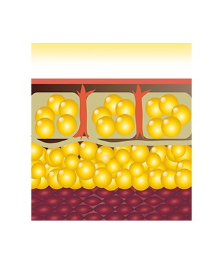 Skin Health