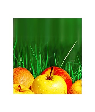 Foods for Joint Health