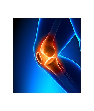 Common Joint Discomfort Causes