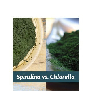 Spirulina vs. Chlorella 