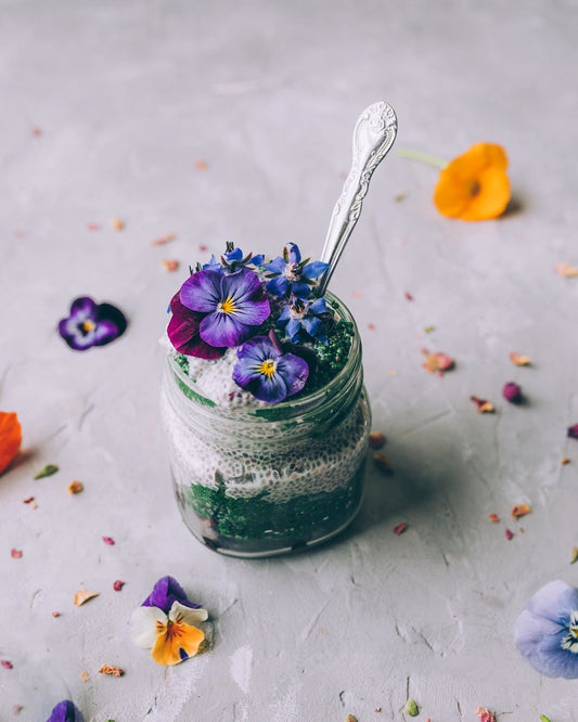 Fairy Forest Chia Pudding