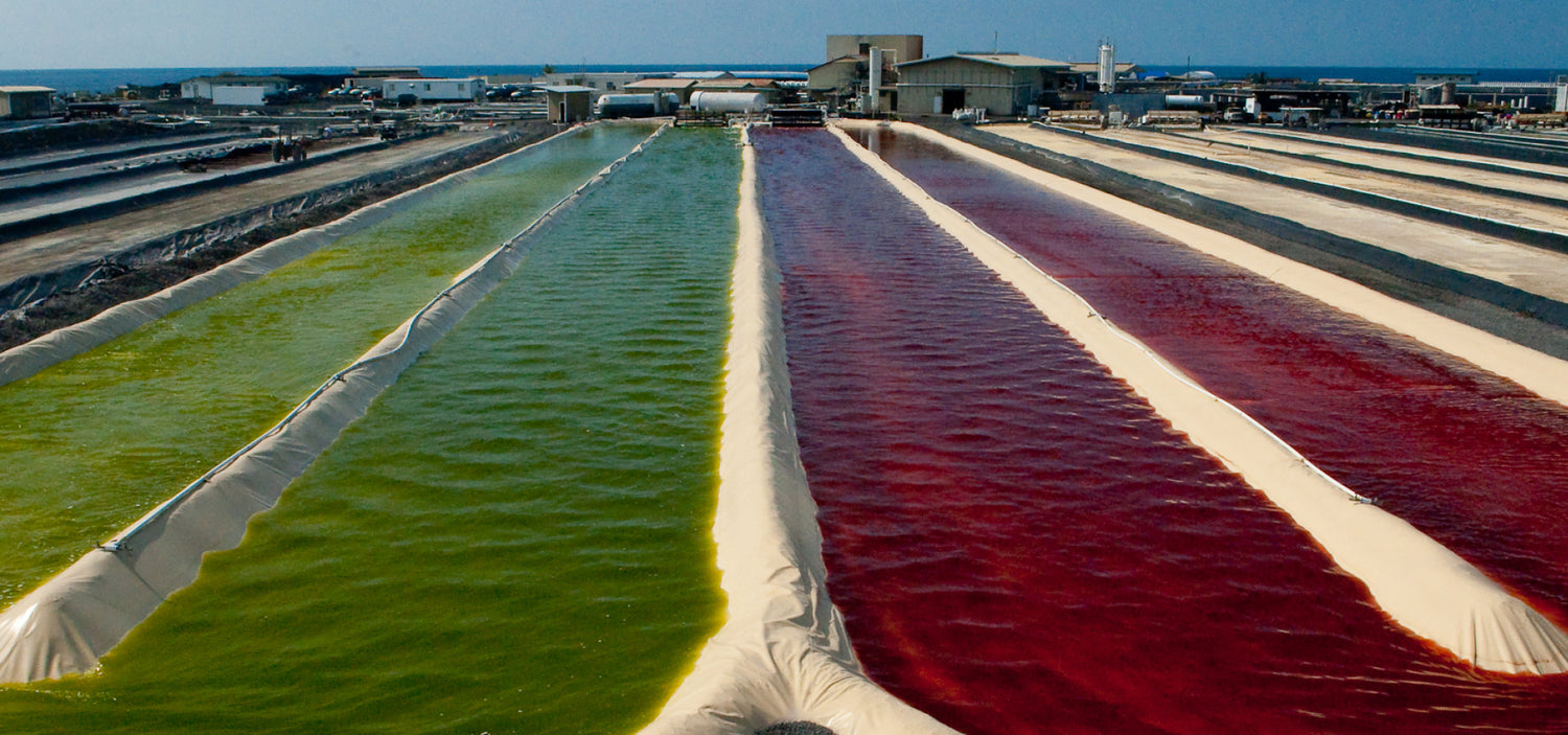 BioAstin Hawaiian Astaxanthin