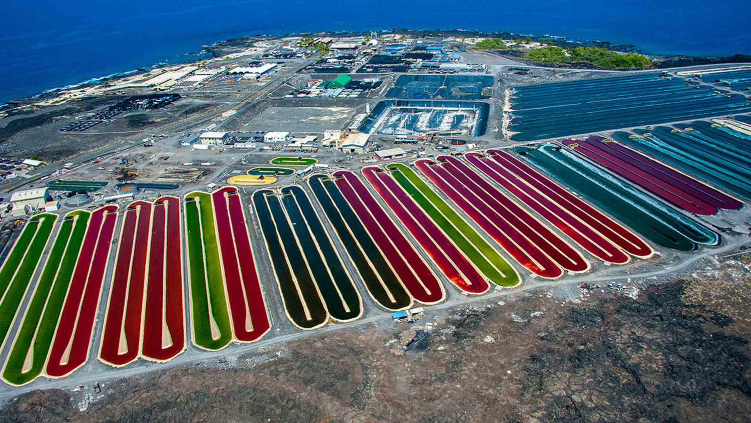 Nutrex Hawaii Aerial Farm Image