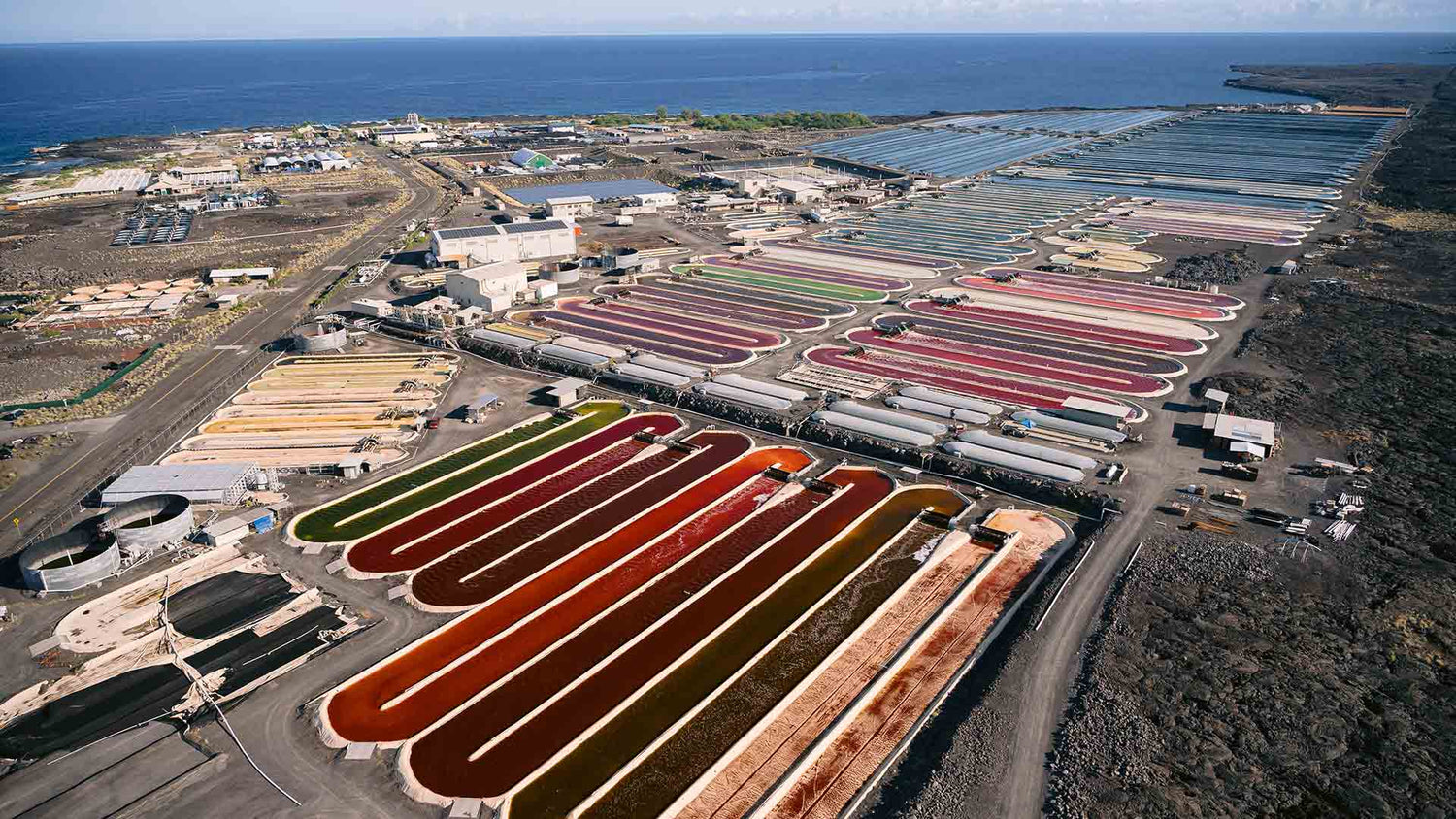 BioAstin Hawaiian Astaxanthin Culture Ponds 