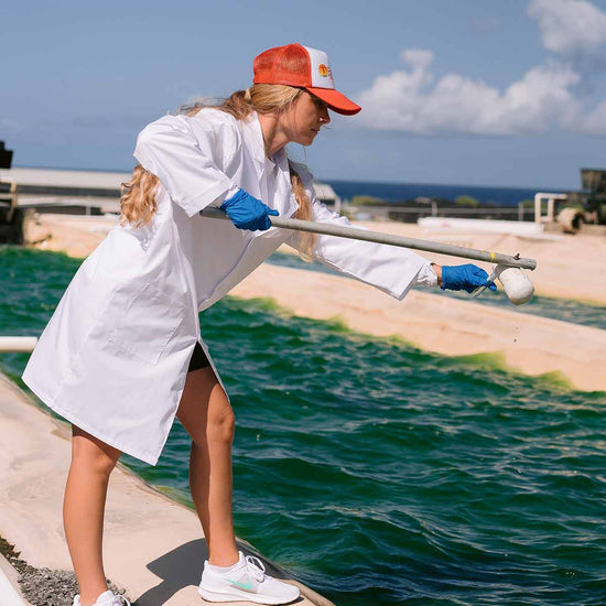 testing the microalgae in the ponds